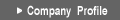 Company Profile