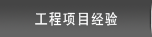 Project Experience