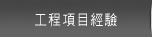 Project Experience